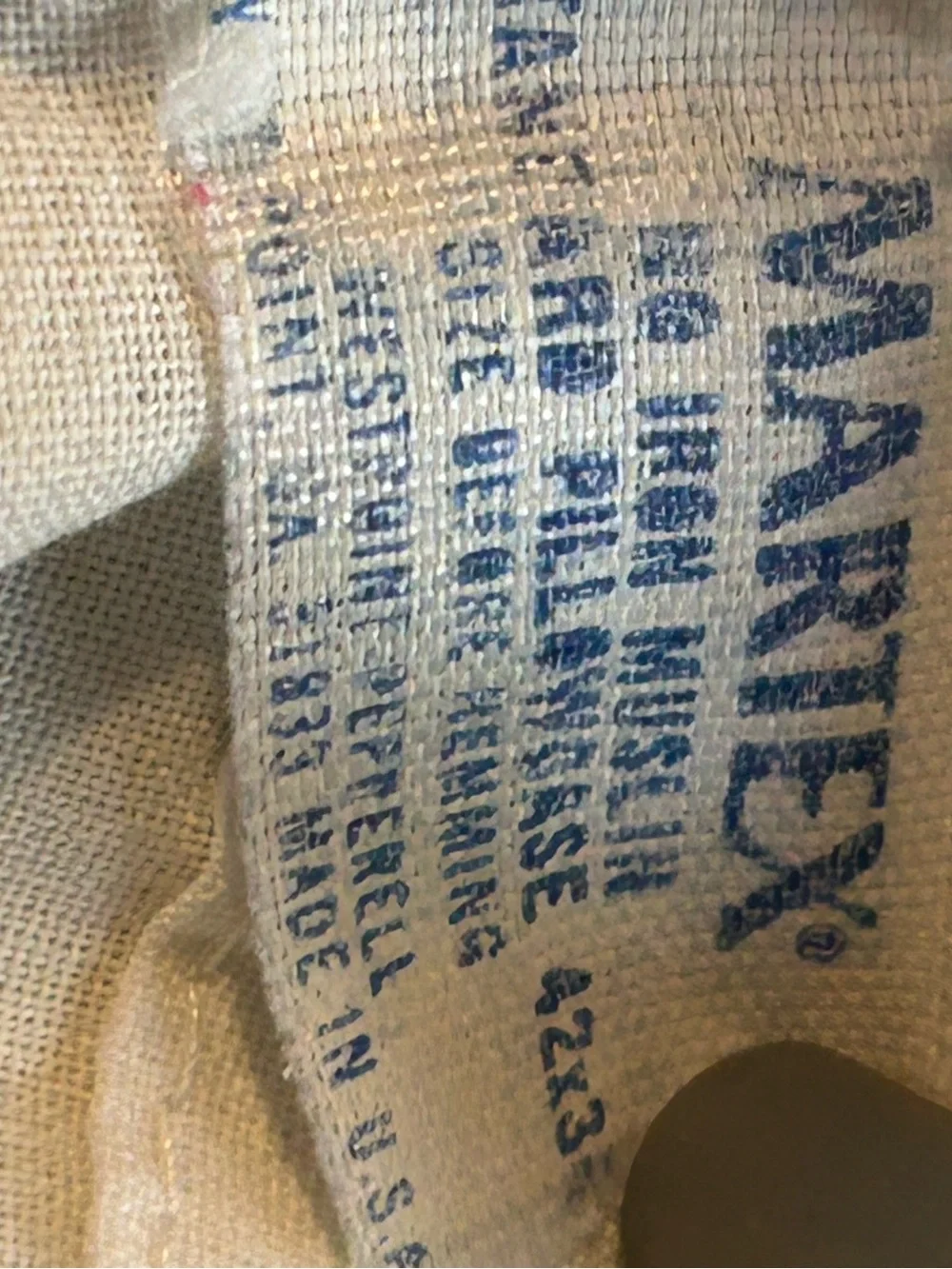 Sears decorative pillow